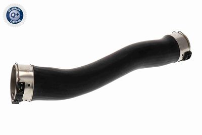 FURTUN EAR SUPRAALIMENTARE VAICO V203496 2