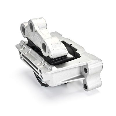 LAGERUNG MOTOR DELPHI TEM133 6