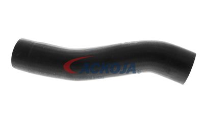 FURTUN EAR SUPRAALIMENTARE ACKOJA A529600 12