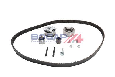 SET CUREA DE DISTRIBUTIE BOGAP A1328255