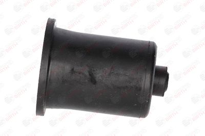 BUCSA ARBORE DE DIRECTIE BIRTH 4726 1