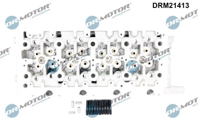 CHIULASA Dr.Motor Automotive DRM21413 1