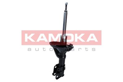 Shock Absorber 2000672