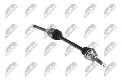 PLANETARA NTY NPWMS086 31