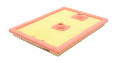 LUFTFILTER CHAMPION CAF101067P 1