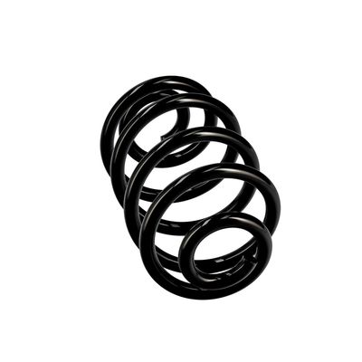 ARC SPIRAL EIBACH R10050 24