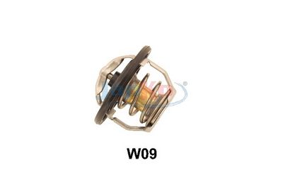 Thermostat, Kühlmittel