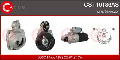 Vorschau Starter