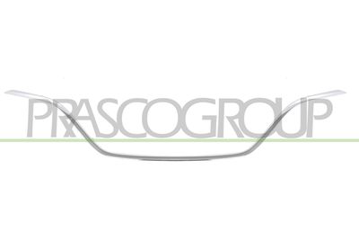 ZIER-/SCHUTZLEISTE KüHLERGITTER