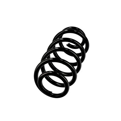 ARC SPIRAL EIBACH R10135 14