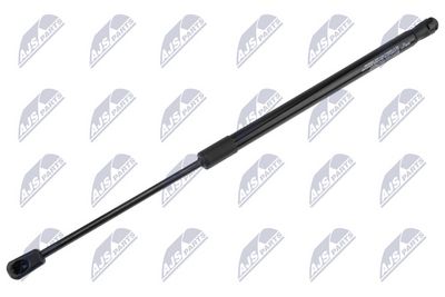 Dujinė spyruoklė, bagažinė