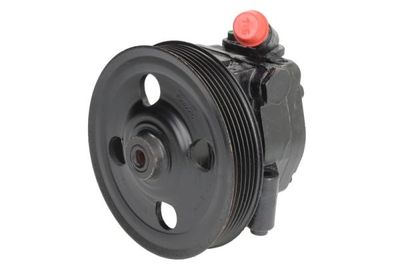 Pompa hydrauliczna, układ kierowniczy LAUBER 55.9958