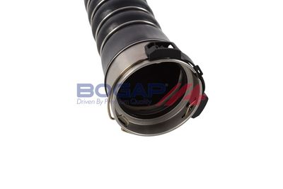 FURTUN EAR SUPRAALIMENTARE BOGAP B1711235 4