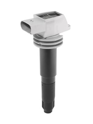 BorgWarner (BERU) Zündspule
