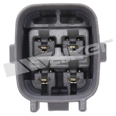 LAMBDASONDE WALKER PRODUCTS 35034730 2