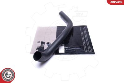 FURTUN EAR SUPRAALIMENTARE