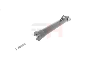 AMORTIZOR GH GH331506H 11
