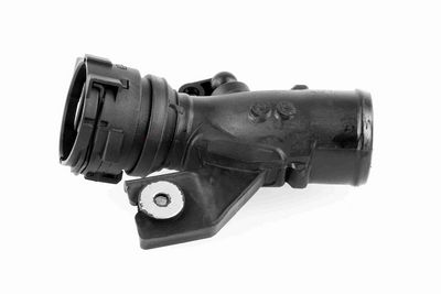 FURTUN EAR SUPRAALIMENTARE ACKOJA A380296 1