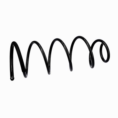 ARC SPIRAL EIBACH R10092 6