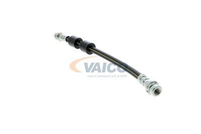 FURTUN FRANA VAICO V251328 18