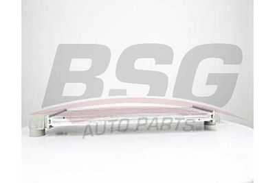 BSG BSG 60-535-005 Інтеркулер 