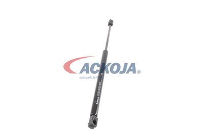 AMORTIZOR PORTBAGAJ ACKOJA A370063 50