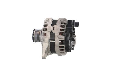 GENERATOR / ALTERNATOR REMANTE 011003000862R 17