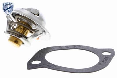TERMOSTAT LICHID RACIRE