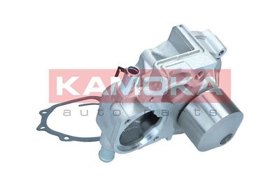 Water Pump, engine cooling T0313