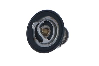 TERMOSTAT LICHID RACIRE NRF 725143 11