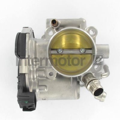 Throttle Body Intermotor 68402