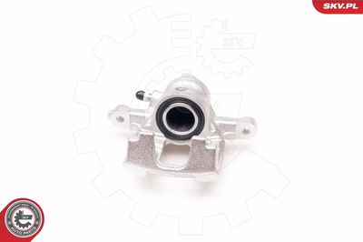 Brake Caliper 34SKV014