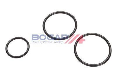 POMPA COMBUSTIBIL BOGAP A1622138 4