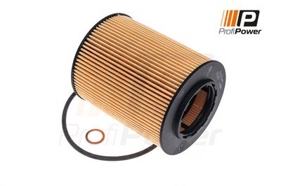 alyvos filtras 1F0048 ProfiPower