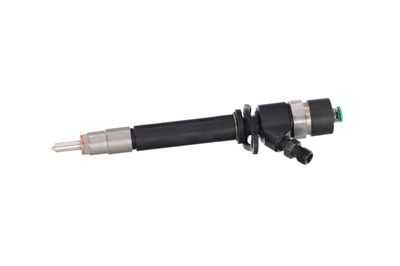 INJECTOR REMANTE 002003000196R 12