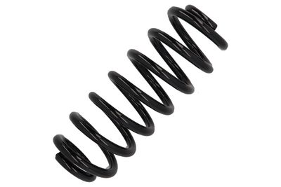 ARC SPIRAL