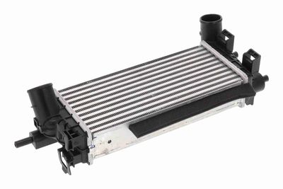 INTERCOOLER COMPRESOR VEMO V25600071 2