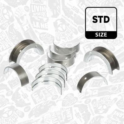 SET RULEMT ARBORE COTIT ET ENGINETEAM LH006400 1