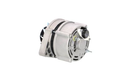 GENERATOR / ALTERNATOR REMANTE 011003000025R 23