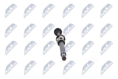 PLANETARA NTY NPWFR074 33