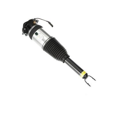 LUFTFEDERBEIN Arnott AS2969 55