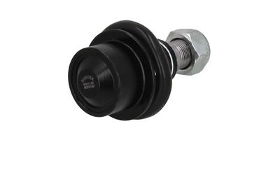 Šarnyras / girgždukas