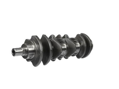 ARBORE COTIT ET ENGINETEAM HK0191VR1 15