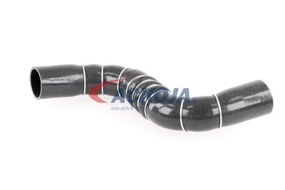 FURTUN EAR SUPRAALIMENTARE ACKOJA A389602 14