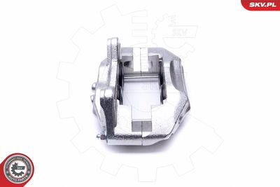 Brake Caliper 46SKV732