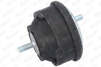 SUPORT MOTOR BIRTH 50122 4