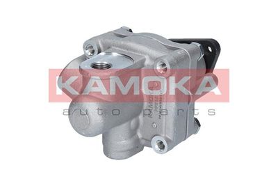 Hydraulic Pump, steering PP016