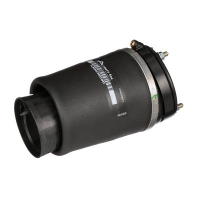 LUFTFEDER FAHRWERK Arnott A2934 38