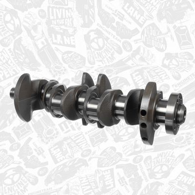 ARBORE COTIT ET ENGINETEAM HK0230 2