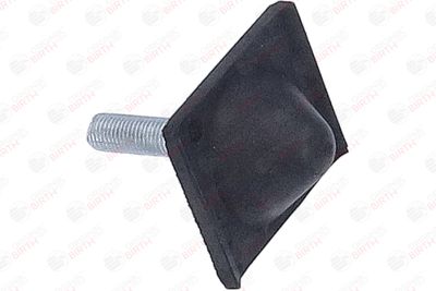 BUCSA ARC FOI BIRTH 56718 5